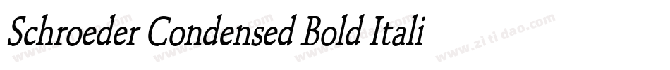 Schroeder Condensed Bold Italic字体转换